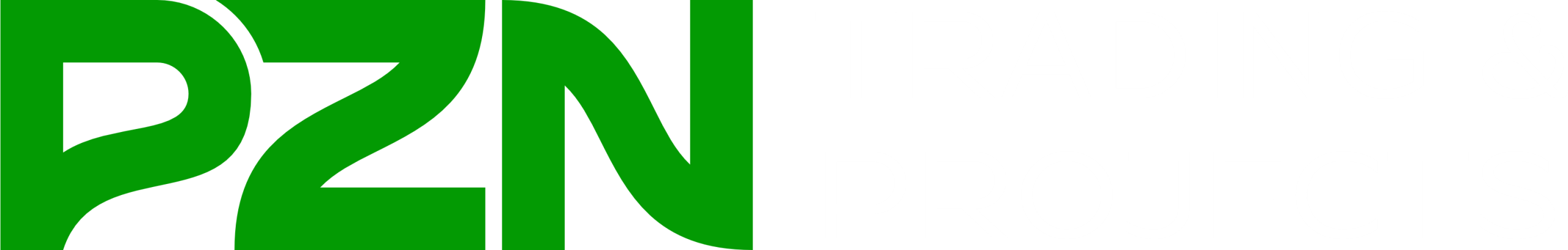 PZN Trading & Projects